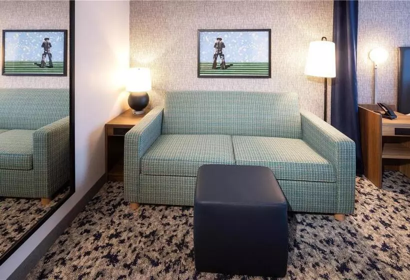 سوئیت جونیور با تخت بزرگ, Doubletree By Hilton Appleton