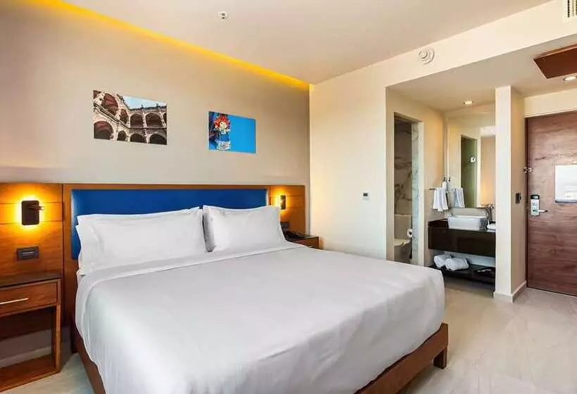 اتاق استاندارد با تخت بزرگ, Doubletree By Hilton Appleton