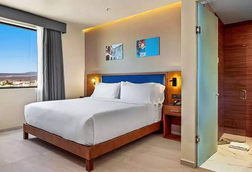 اتاق استاندارد با تخت بزرگ, Doubletree By Hilton Appleton