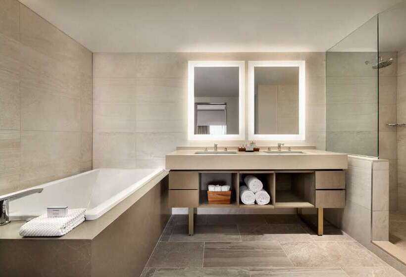 家庭套房, Embassy Suites By Hilton Brunswick