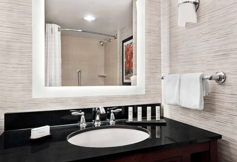 套房, Embassy Suites By Hilton Brunswick