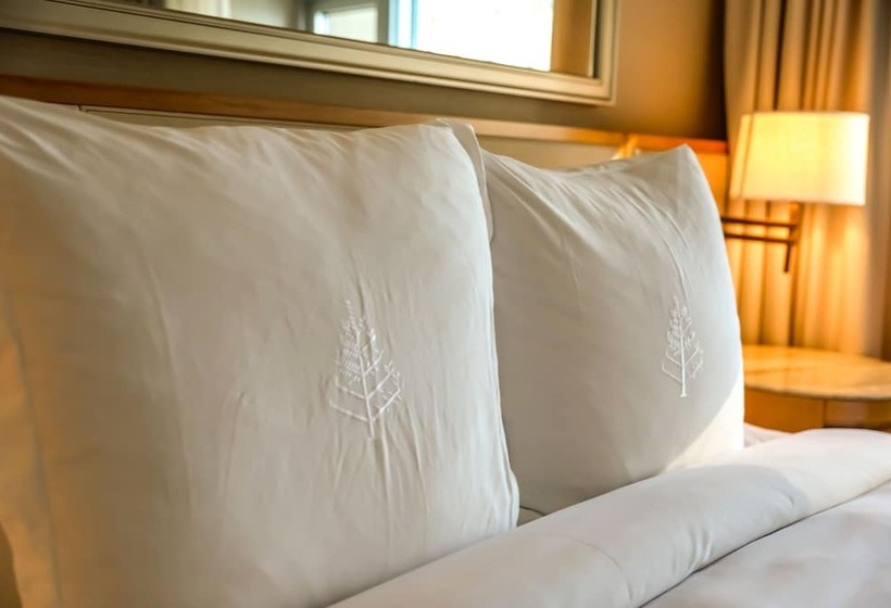 اتاق استاندارد با 2 تخت دوبل, Four Seasons  Chicago