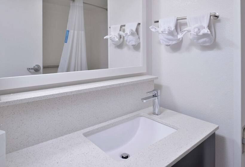 Номер Стандарт Адаптированный для Инвалидов, Hampton Inn Greenville