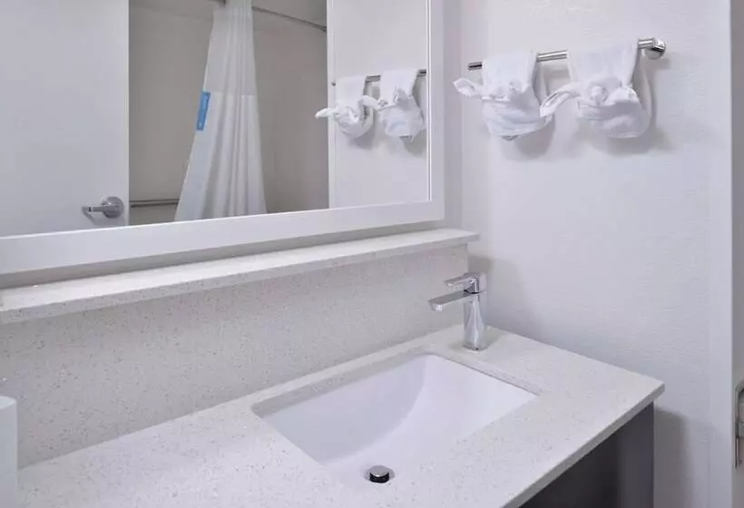 身障者適用スタンダードルーム, Hampton Inn Greenville
