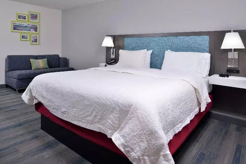 キングサイズベッドのスタンダードルーム, Hampton Inn Greenville