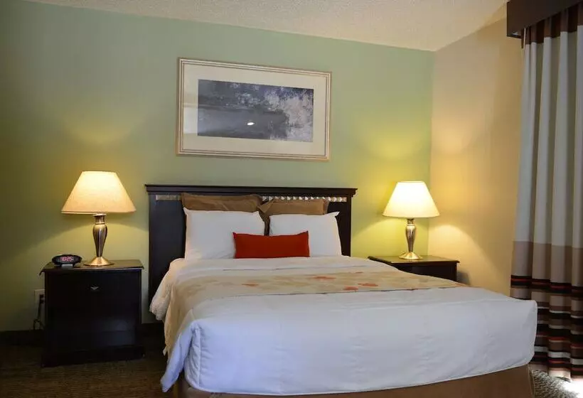 身障者適用スイートルーム, Hawthorn Extended Stay By Wyndham Dallas