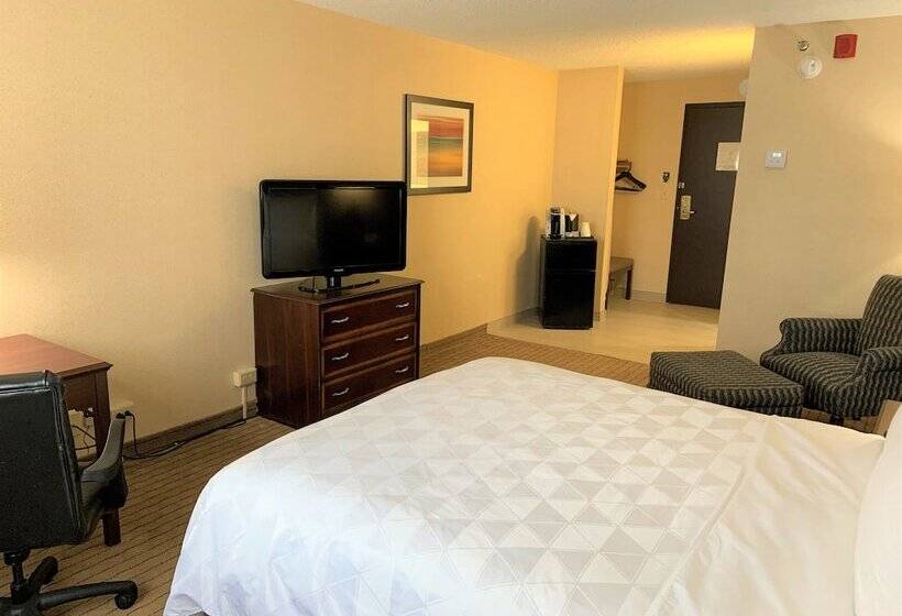 غرفة قياسية, Holiday Inn & Suites Chicago Carol Stream Wheaton, An Ihg
