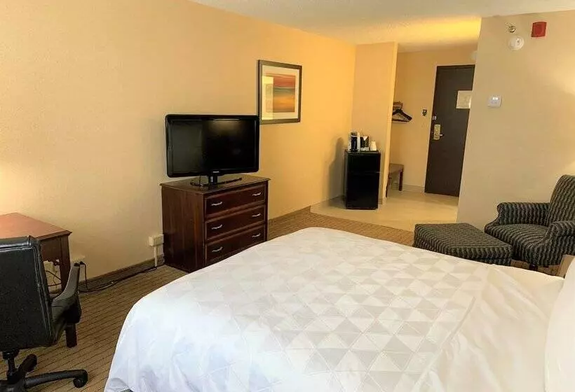 スタンダードルーム, Holiday Inn & Suites Chicago Carol Stream Wheaton, An Ihg