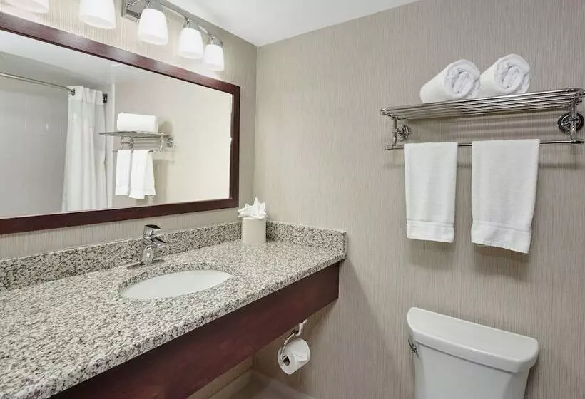 2ダブルベッドのスタンダードルーム, Holiday Inn & Suites Chicago Carol Stream Wheaton, An Ihg