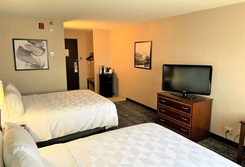 2ダブルベッドのスタンダードルーム, Holiday Inn & Suites Chicago Carol Stream Wheaton, An Ihg