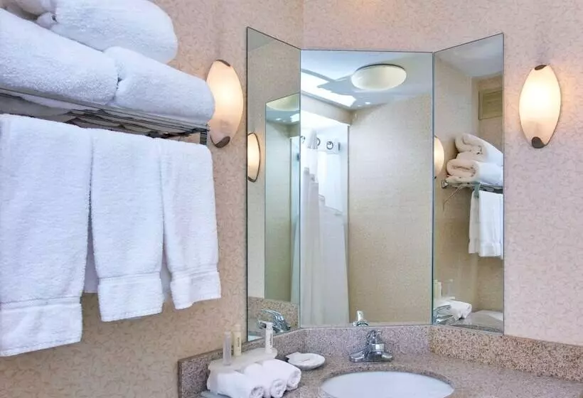 ２ダブルベッドのスタンダードルーム, Holiday Inn Express Memphis Medical Center   Midtown, An Ihg