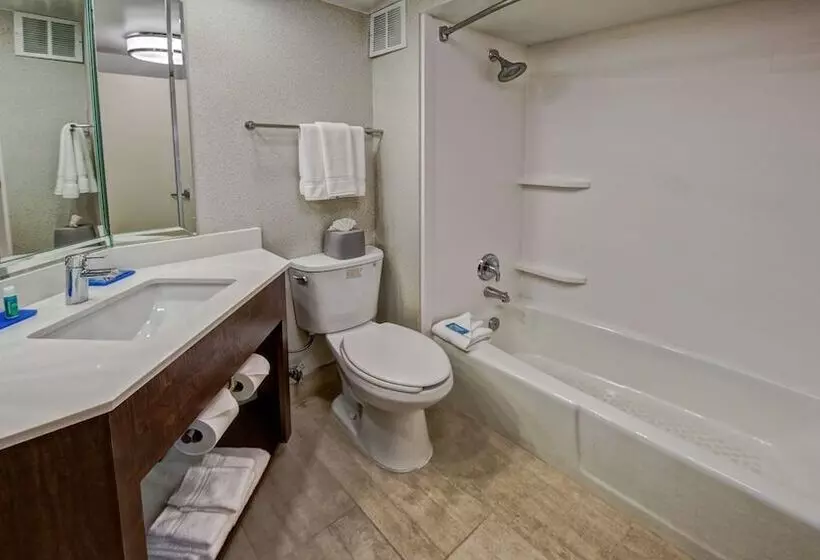 ２ダブルベッドのスタンダードルーム, Holiday Inn Express Memphis Medical Center   Midtown, An Ihg