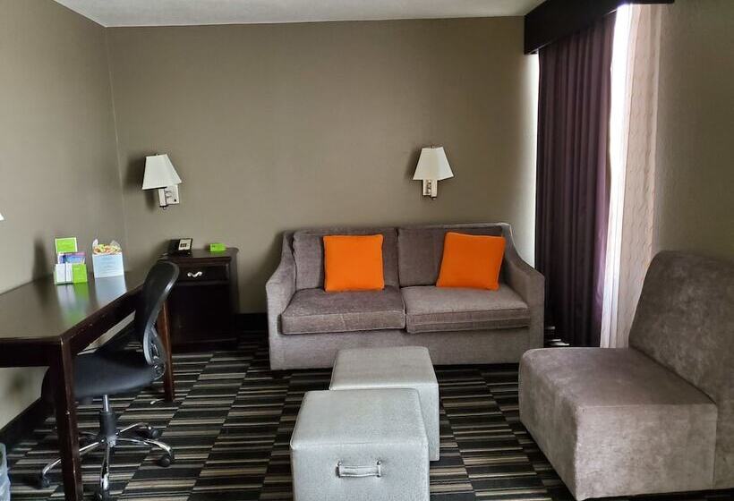 豪华套房, La Quinta By Wyndham Memphis Airport Graceland