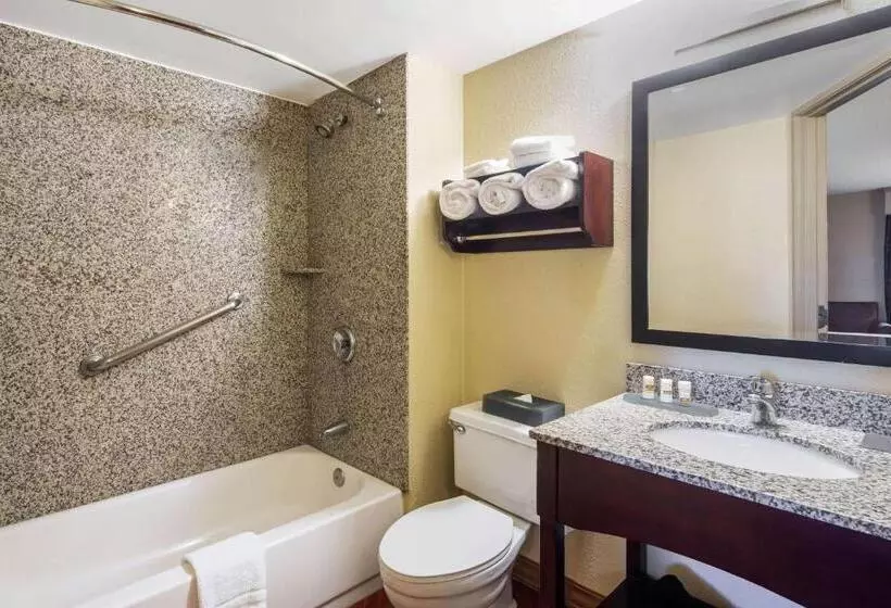 اتاق استاندارد با تخت بزرگ, La Quinta By Wyndham Oakland Airport Coliseum
