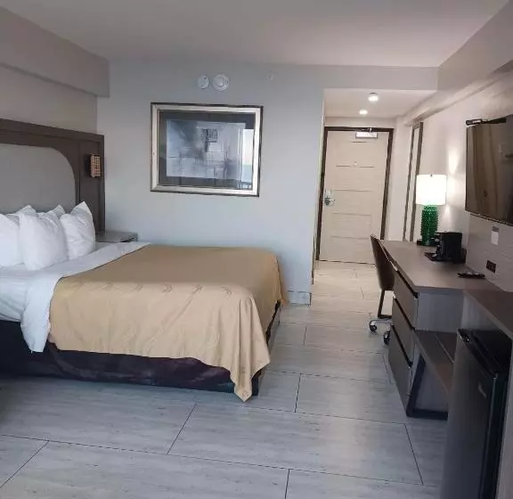 シングルデラックスルーム, Quality Inn & Suites Oceanfront