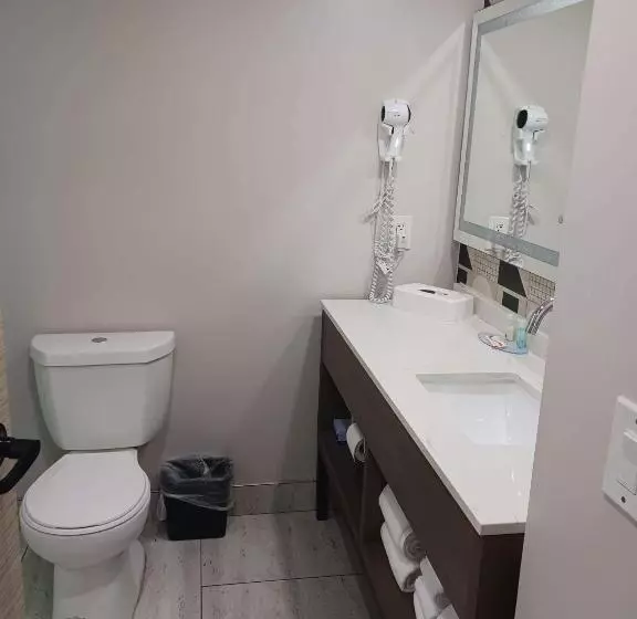 シングルデラックスルーム, Quality Inn & Suites Oceanfront