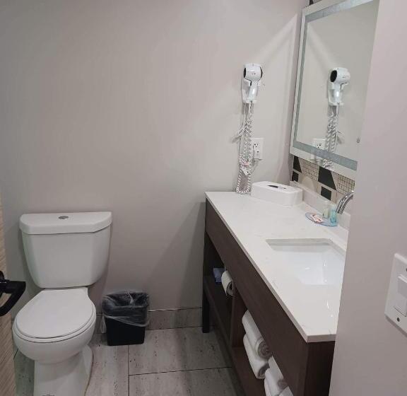 스탠다드 룸 킹사이즈 침대, Quality Inn & Suites Oceanfront