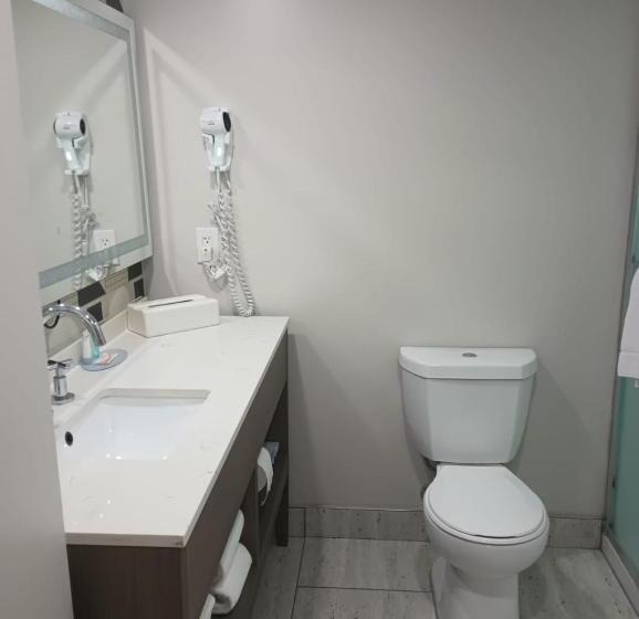 수피리어 룸, Quality Inn & Suites Oceanfront