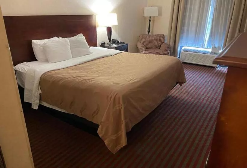 キングサイズベッドのスタンダードルーム, Quality Inn & Suites
