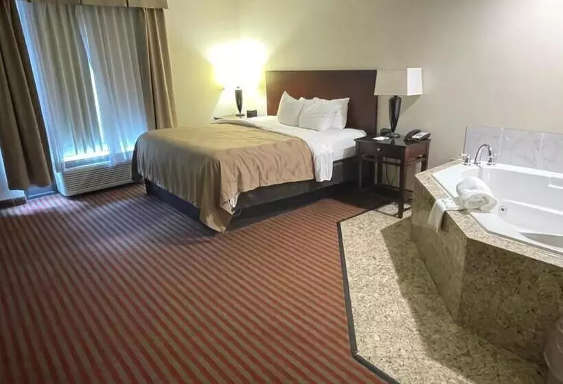 キングサイズベッドのスタンダードルーム, Quality Inn & Suites