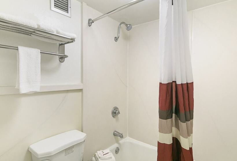 디럭스 룸, Red Roof Inn Forsyth