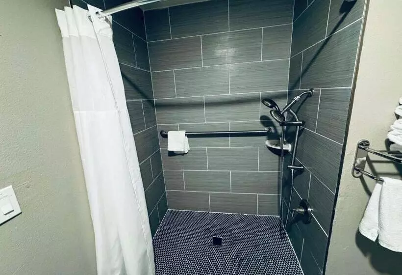 اتاق استاندارد برای معلولان, Surestay By Best Western Fresno Central