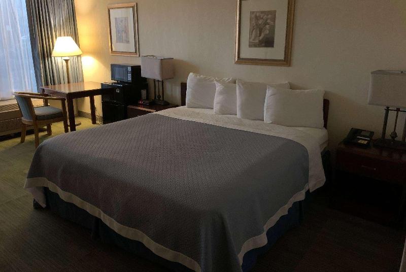 스탠다드 룸 킹사이즈 침대, Travelodge By Wyndham Gaylord