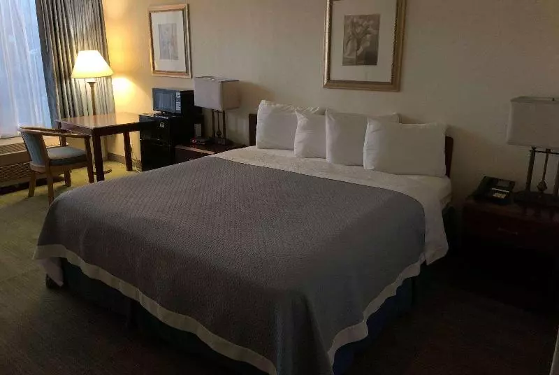 キングサイズベッドのスタンダードルーム, Travelodge By Wyndham Gaylord
