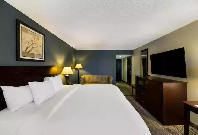 キングサイズベッドのスタンダードルーム, Clarion Hotel San Angelo Near Convention Center