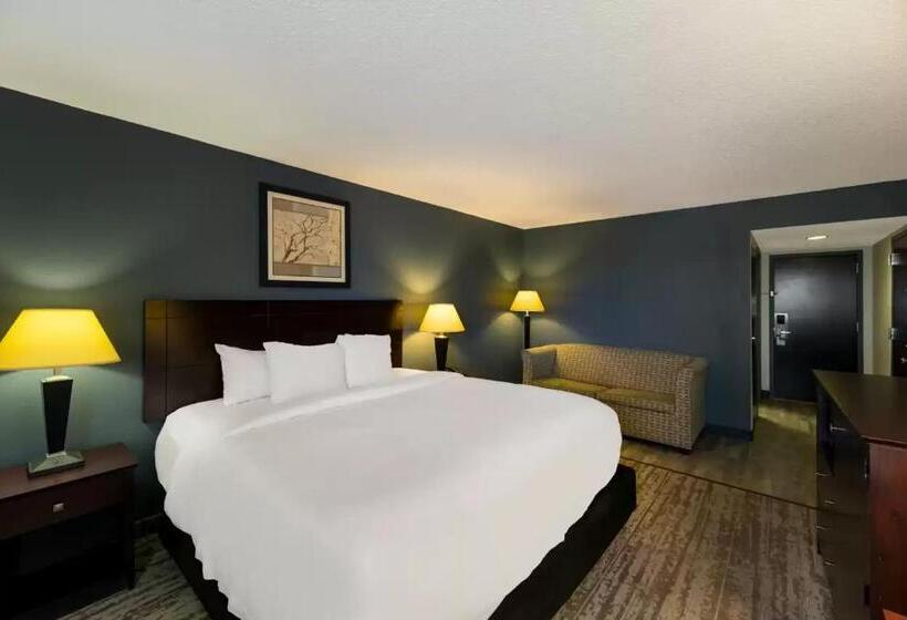 غرفة قياسية سرير كينج, Clarion Hotel San Angelo Near Convention Center