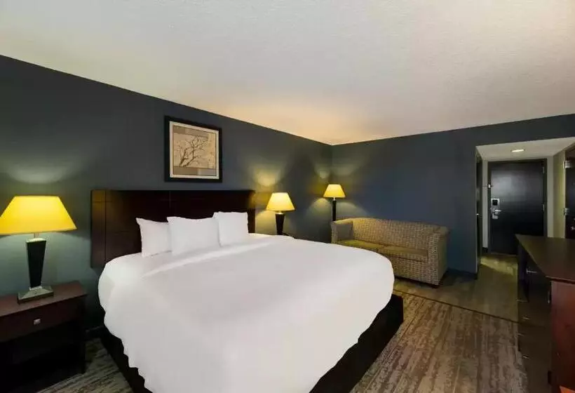 キングサイズベッドのスタンダードルーム, Clarion Hotel San Angelo Near Convention Center