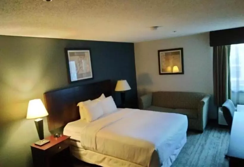 身障者適用スタンダードルーム, Clarion Hotel San Angelo Near Convention Center