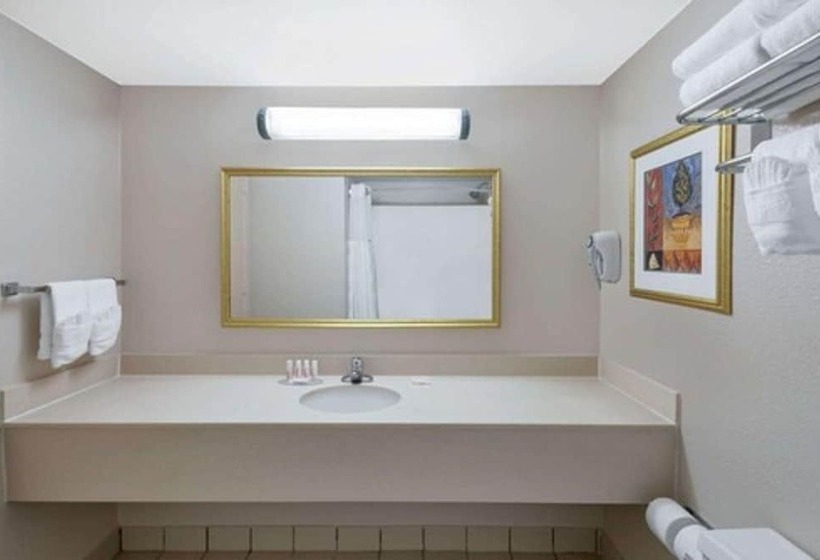 İki Çift Kişilik Yataklı Standart Oda, Ava Laredo