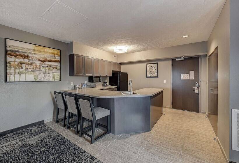 프레지덴셜 스위트, Doubletree By Hilton Hotel Bloomington