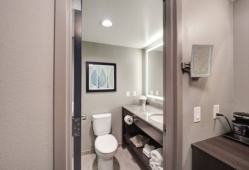 스탠다드 룸 더블 침대 2개, Doubletree By Hilton Hotel Bloomington