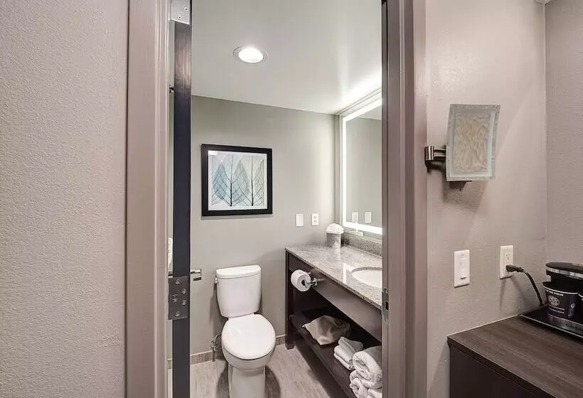 اتاق استاندارد با 2 تخت دوبل, Doubletree By Hilton Hotel Bloomington