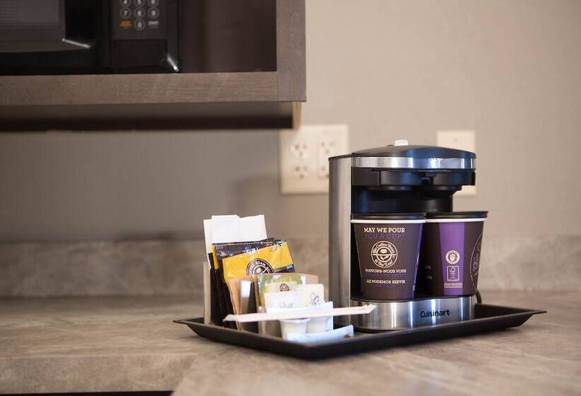 스탠다드 룸 더블 침대 2개, Doubletree By Hilton Hotel Bloomington