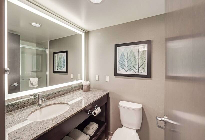 스탠다드 룸 더블 침대 2개, Doubletree By Hilton Hotel Bloomington