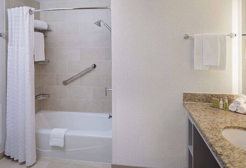 带2个双人床的标准工作室, Doubletree By Hilton Chicago Magnificent Mile