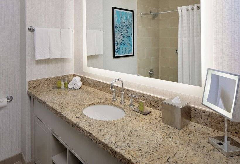 带2个双人床的标准工作室, Doubletree By Hilton Chicago Magnificent Mile