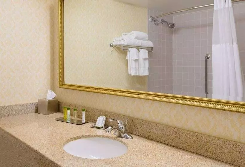 ２ダブルベッドのスタンダードルーム, Doubletree By Hilton Richmond Midlothian