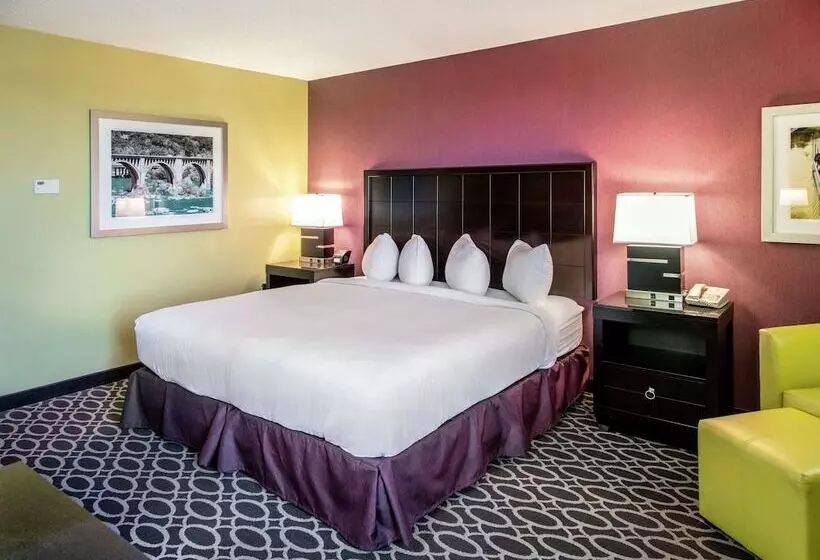 ２ダブルベッドのスタンダードルーム, Doubletree By Hilton Richmond Midlothian