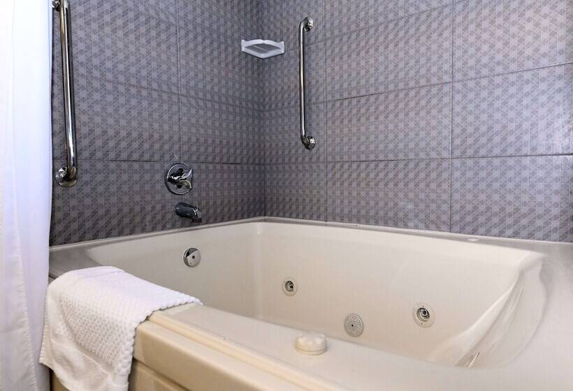 스위트, Doubletree By Hilton Richmond Midlothian