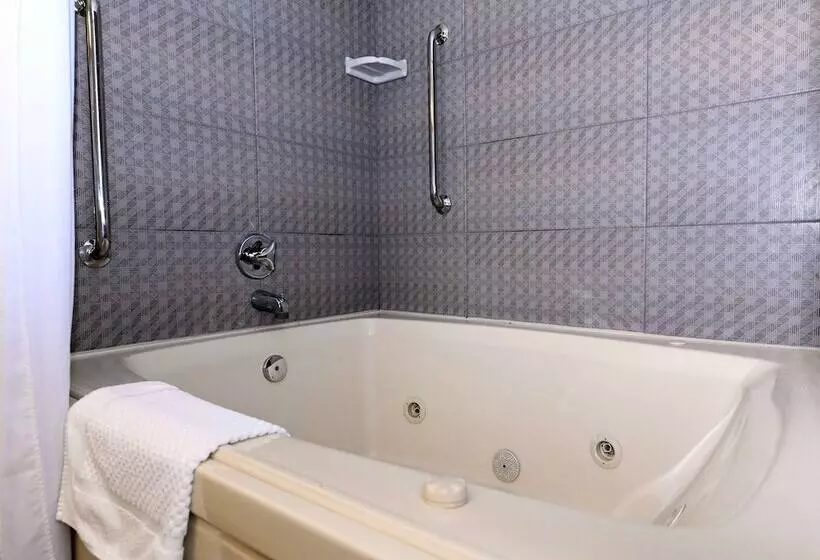 スイート, Doubletree By Hilton Richmond Midlothian