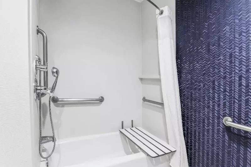 اتاق استاندارد با تخت بزرگ, Fairfield Inn And Suites By Marriott San Jose Airport