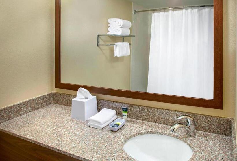 غرفه قياسيه سريرين مزدوجين, Four Points By Sheraton Charleston