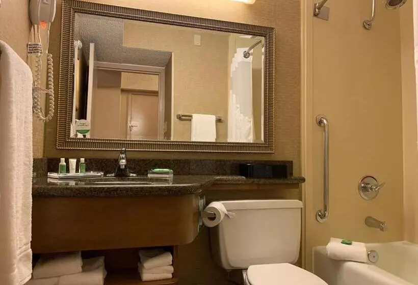 Standard-huone 2 Parivuodetta, Holiday Inn Johnstown Downtown, An Ihg