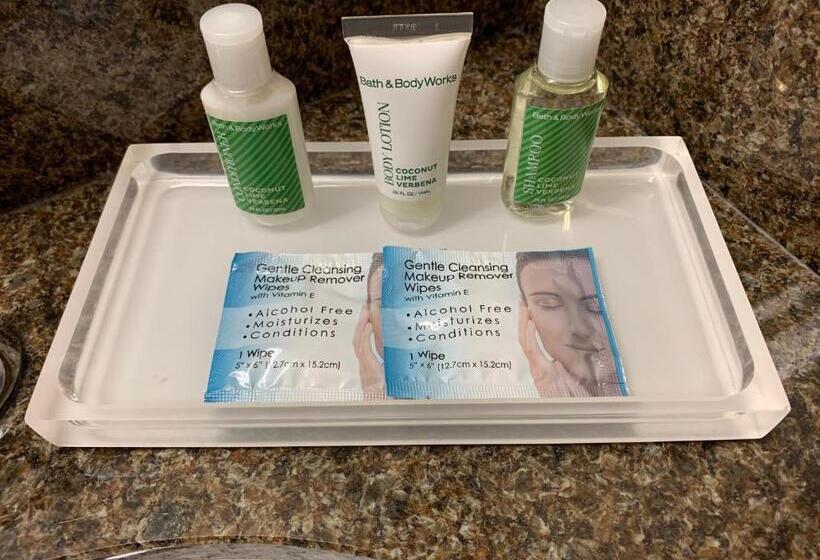 غرفة قياسية, Holiday Inn Johnstown Downtown, An Ihg