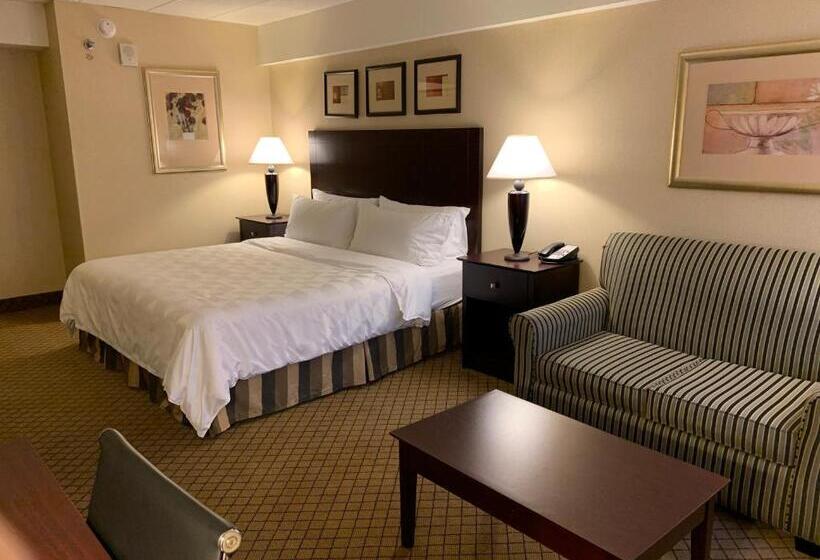 Стандартный Номер Кровать Кинг, Holiday Inn Johnstown Downtown, An Ihg