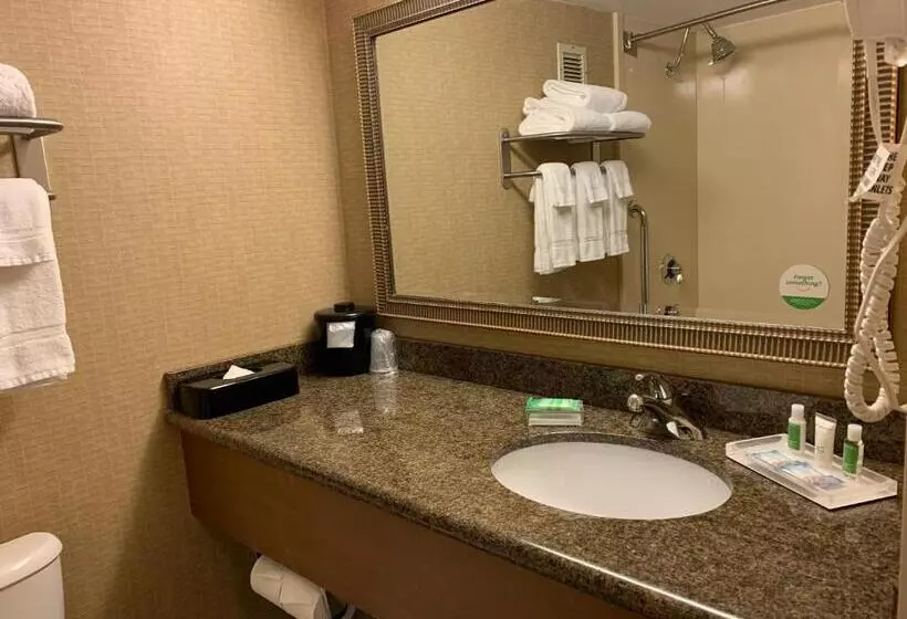 Deluxe-huone King-vuode, Holiday Inn Johnstown Downtown, An Ihg